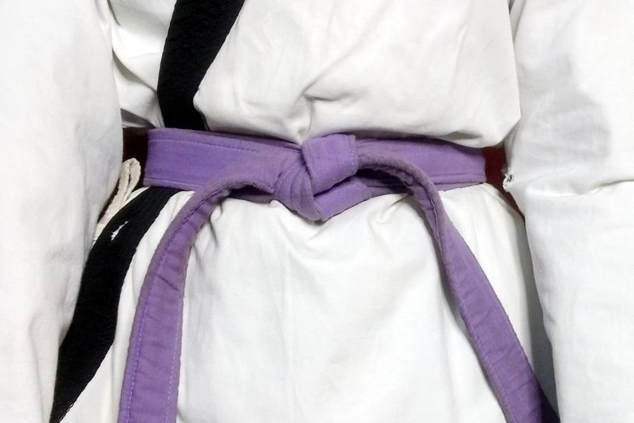 Purple Belt Karate Meaning in Hindi | जानिए कराटे में बैंगनी बेल्ट का मतलब।