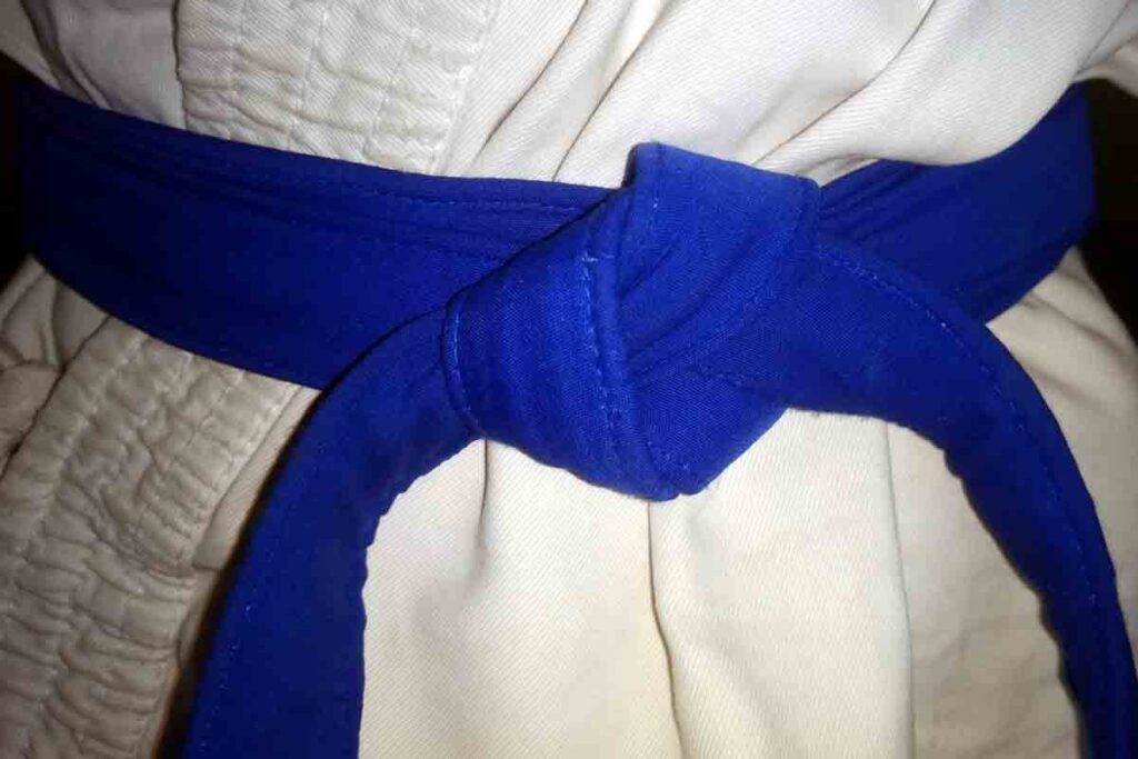 Dark Blue Belt Karate Meaning in Hindi | जानिए कराटे में गहरी नीली बेल्ट का मतलब।