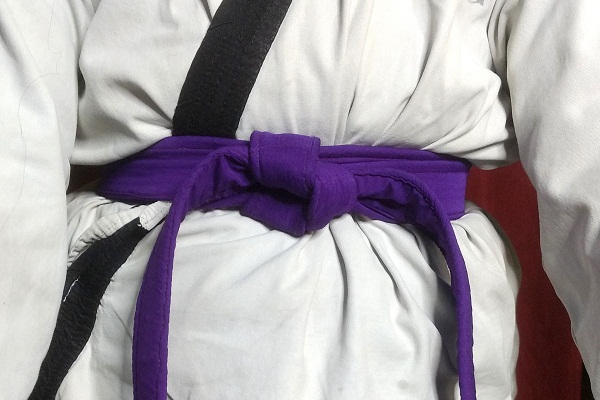 Dark Purple Belt Karate Meaning in Hindi | जानिए कराटे में गहरी बैंगनी बेल्ट का मतलब।