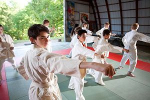Cost of martial arts training | 2020 Full cost of online martial arts classes